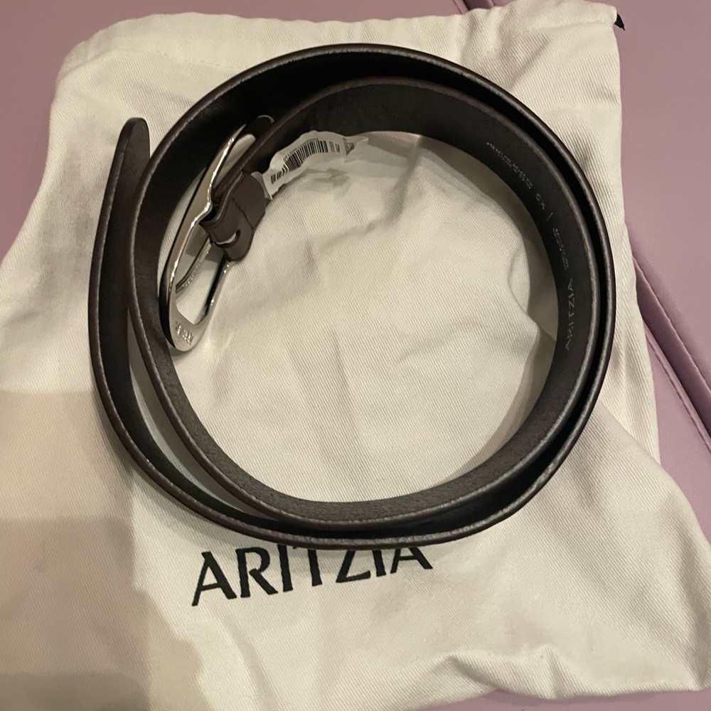 Aritzia Halo Dark Brown Silver Belt sz. XS Sold Out - Picture 7 of 8